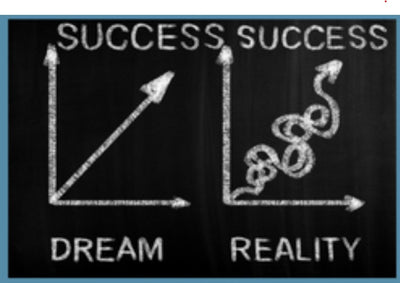 Self Determination Theory - The Long View